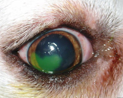 ���� ��ȯ