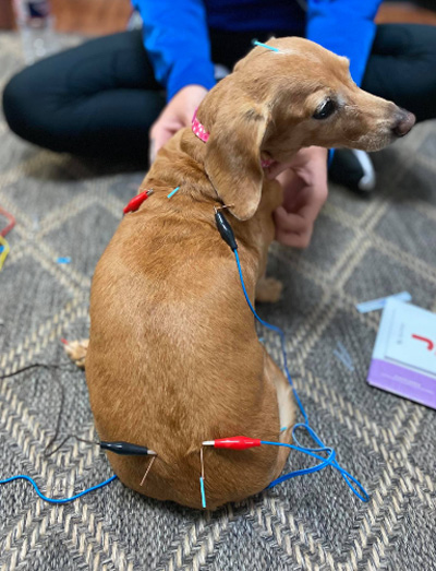 ������ ��ħ ����