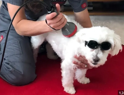 ������ ��Ȱ ����