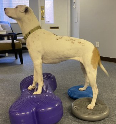 ��Ȱġ�� ����