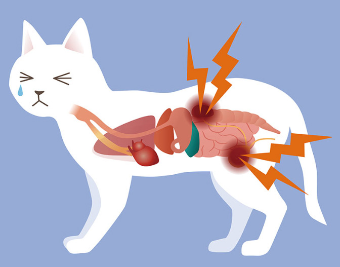 ������ ��Ȱ ����