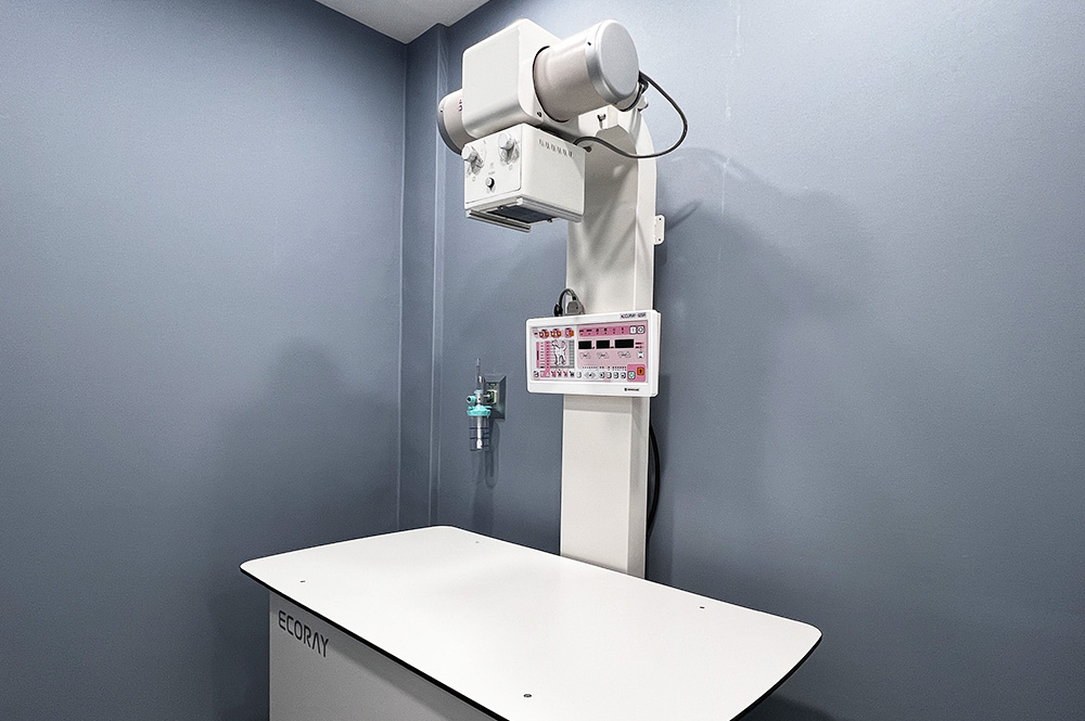X-ray��